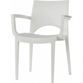 Стул с подлокотниками North